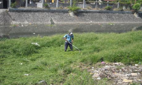 pemotongan rumput