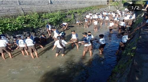 Aksi Siswa Siswi SMP Widya Sakti Penatih dalam Membersihkan Sungai